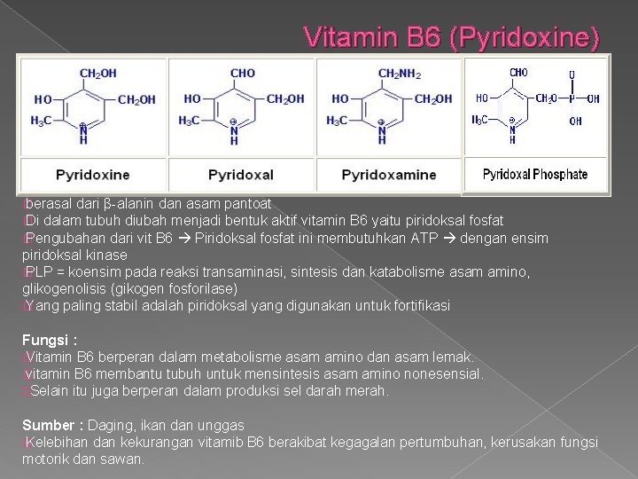 Vitamin B 6 (Pyridoxine) � berasal dari β-alanin dan asam pantoat � Di dalam