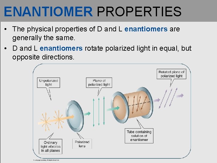 ENANTIOMER PROPERTIES • The physical properties of D and L enantiomers are generally the