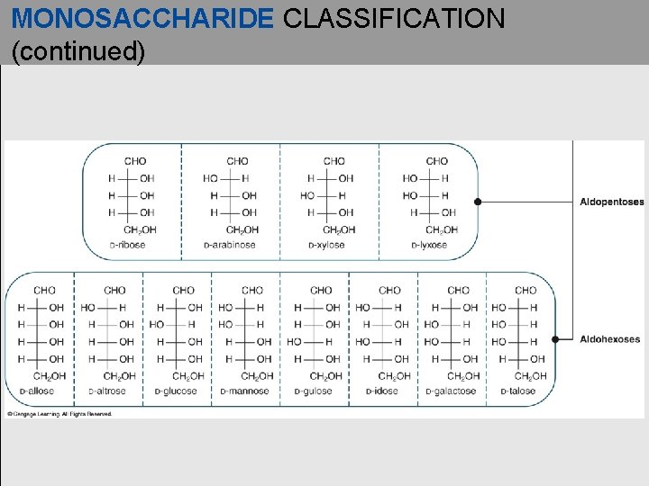 MONOSACCHARIDE CLASSIFICATION (continued) 