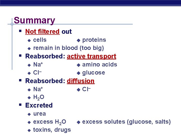 Summary § Not filtered out u u cells u proteins remain in blood (too