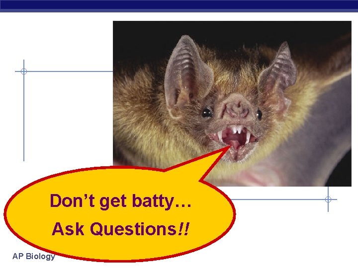 Don’t get batty… Ask Questions!! AP Biology 
