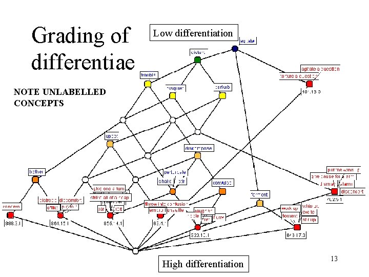 Grading of differentiae Low differentiation NOTE UNLABELLED CONCEPTS High differentiation 13 