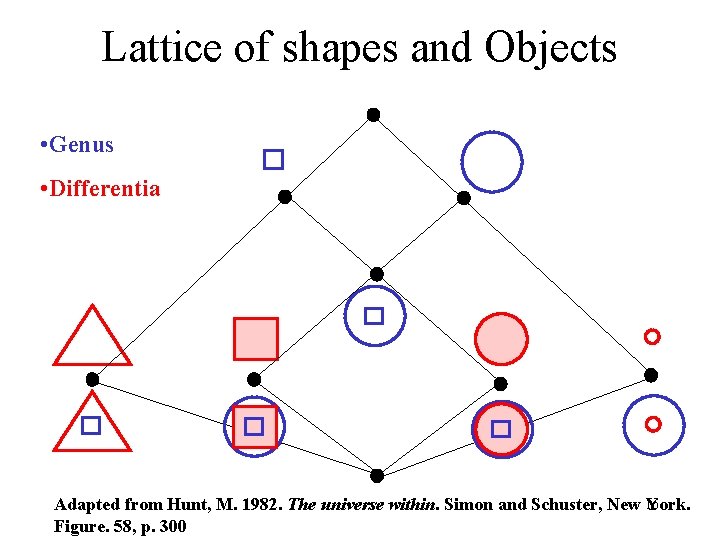 Lattice of shapes and Objects • Genus • Differentia Adapted from Hunt, M. 1982.