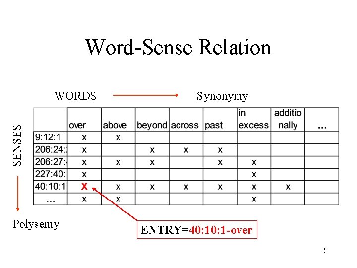 Word-Sense Relation Synonymy SENSES WORDS Polysemy ENTRY=40: 1 -over 5 