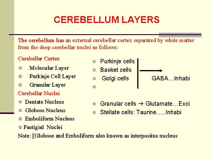 CEREBELLUM LAYERS The cerebellum has an external cerebellar cortex separated by white matter from