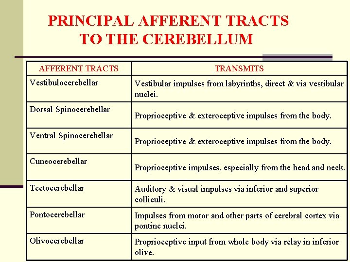 PRINCIPAL AFFERENT TRACTS TO THE CEREBELLUM AFFERENT TRACTS Vestibulocerebellar Dorsal Spinocerebellar Ventral Spinocerebellar Cuneocerebellar