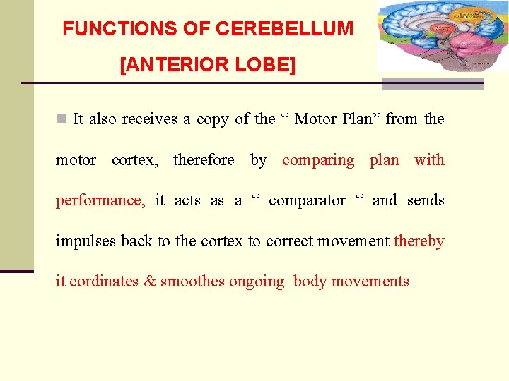 FUNCTIONS OF CEREBELLUM [ANTERIOR LOBE] n It also receives a copy of the “