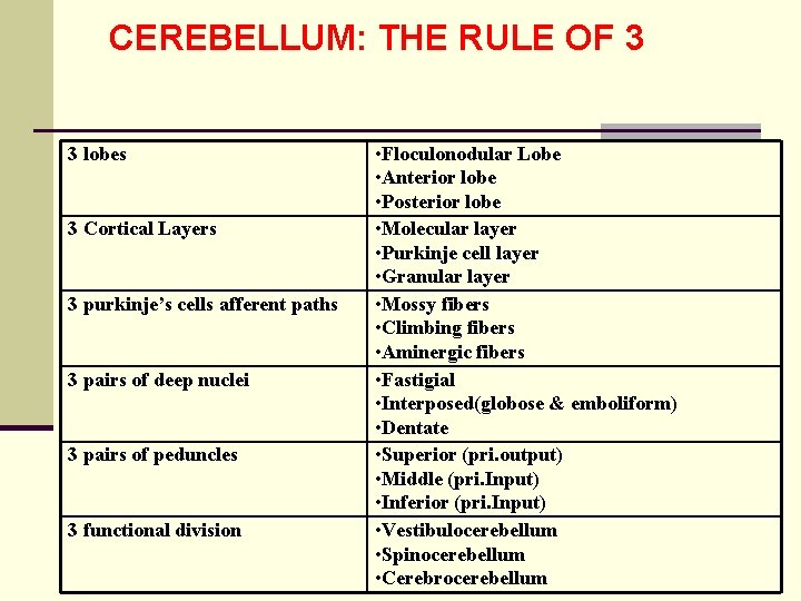 CEREBELLUM: THE RULE OF 3 3 lobes 3 Cortical Layers 3 purkinje’s cells afferent