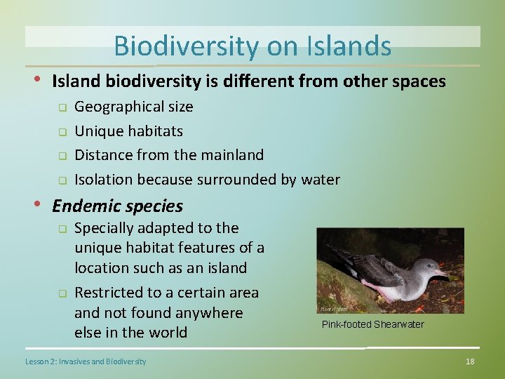 Biodiversity on Islands • Island biodiversity is different from other spaces q q Geographical