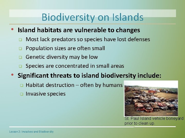 Biodiversity on Islands • Island habitats are vulnerable to changes q q Most lack