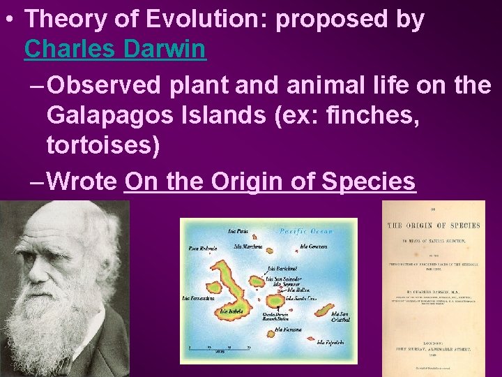  • Theory of Evolution: proposed by Charles Darwin – Observed plant and animal