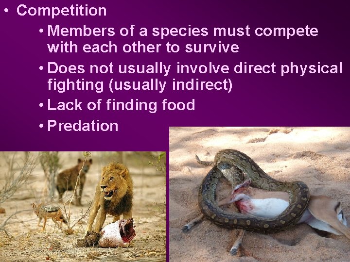  • Competition • Members of a species must compete with each other to