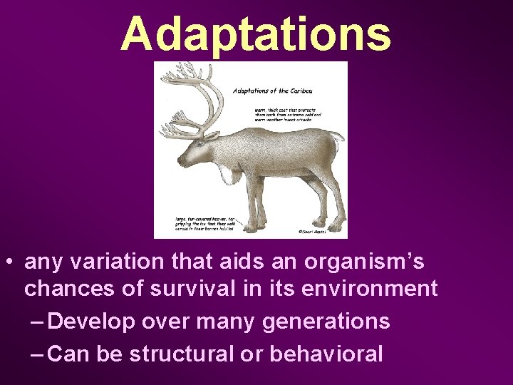 Adaptations • any variation that aids an organism’s chances of survival in its environment