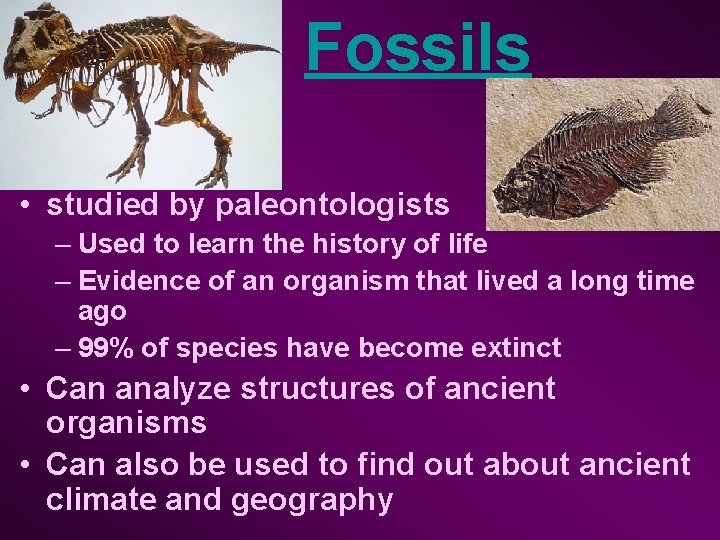  Fossils • studied by paleontologists – Used to learn the history of life