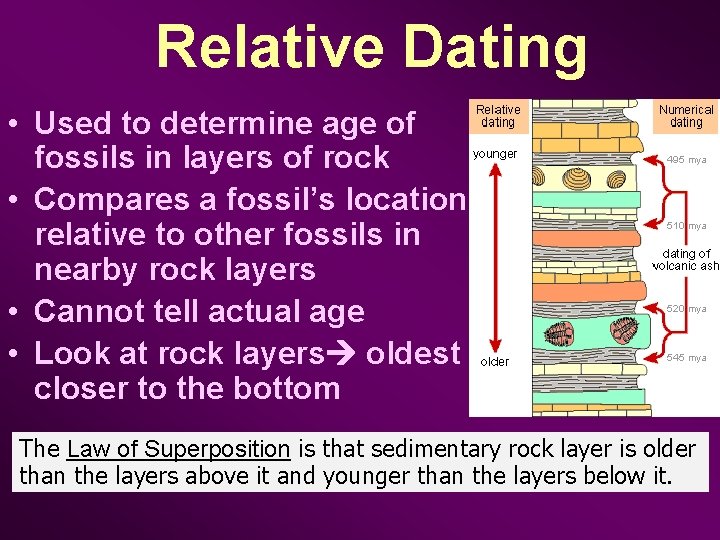 Relative Dating • Used to determine age of fossils in layers of rock •