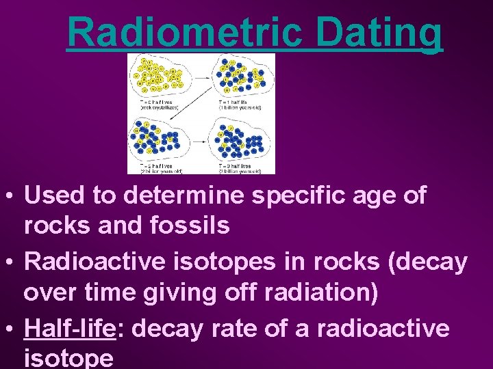 Radiometric Dating • Used to determine specific age of rocks and fossils • Radioactive