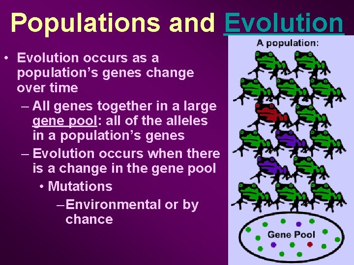 Populations and Evolution • Evolution occurs as a population’s genes change over time –