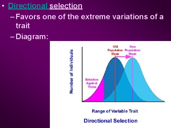  • Directional selection – Favors one of the extreme variations of a trait