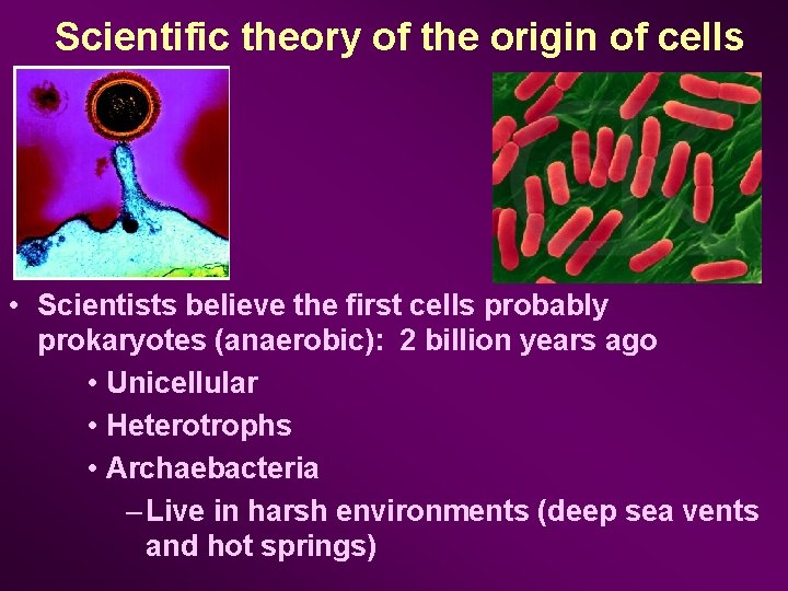 Scientific theory of the origin of cells • Scientists believe the first cells probably