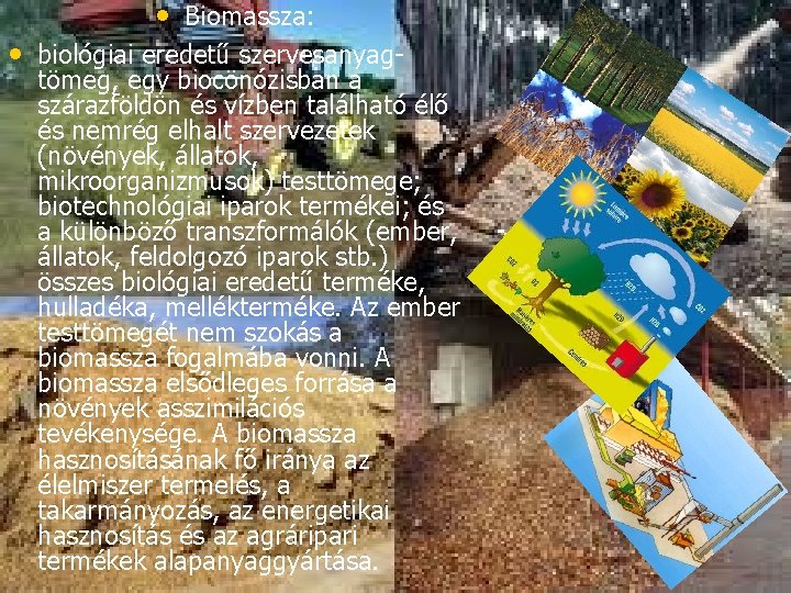  • Biomassza: • biológiai eredetű szervesanyag- tömeg, egy biocönózisban a szárazföldön és vízben