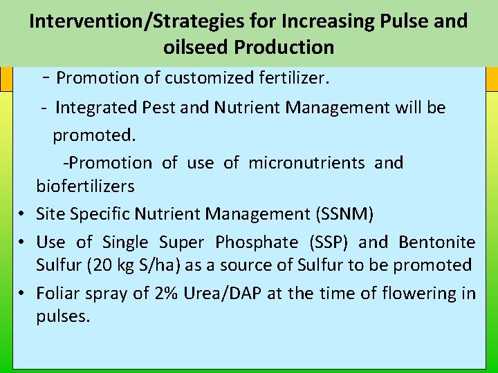 Intervention/Strategies for Increasing Pulse and Strategy for enhancing cost benefit ratio oilseed Production -