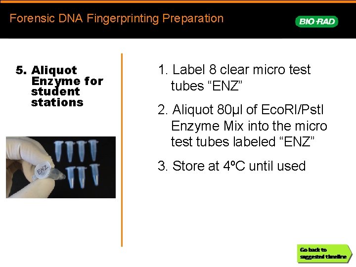 Forensic. DNAFingerprinting Forensic DNA Fingerprinting Preparation prep 5. Aliquot Enzyme for student stations 1.