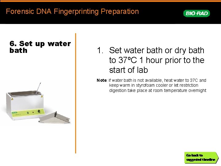 Forensic. DNAFingerprinting Forensic DNA Fingerprinting Preparation prep 6. Set up water bath 1. Set