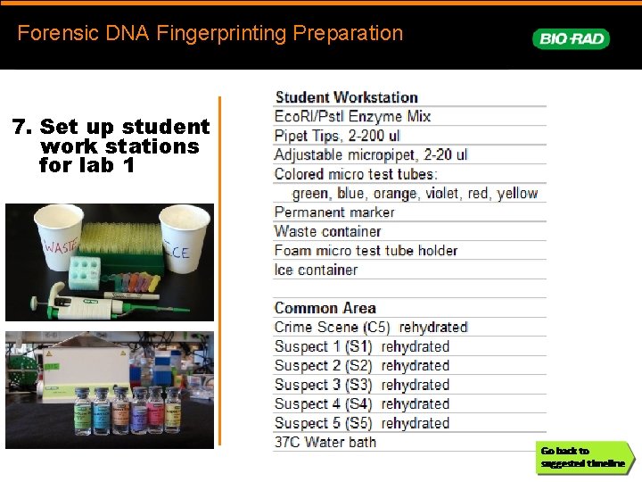 Forensic. DNAFingerprinting Forensic DNA Fingerprinting Preparation prep 7. Set up student work stations for