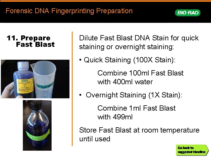 Forensic. DNAFingerprinting Forensic DNA Fingerprinting Preparation prep 11. Prepare Fast Blast Dilute Fast Blast