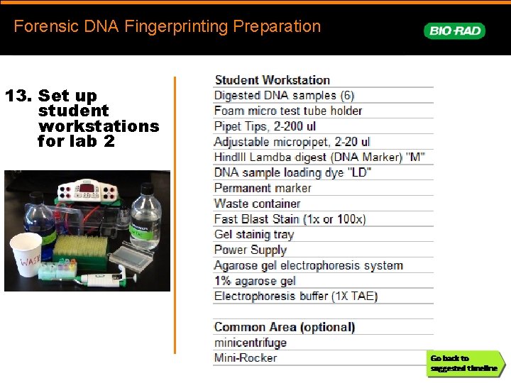 Forensic. DNAFingerprinting Forensic DNA Fingerprinting Preparation prep 13. Set up student workstations for lab