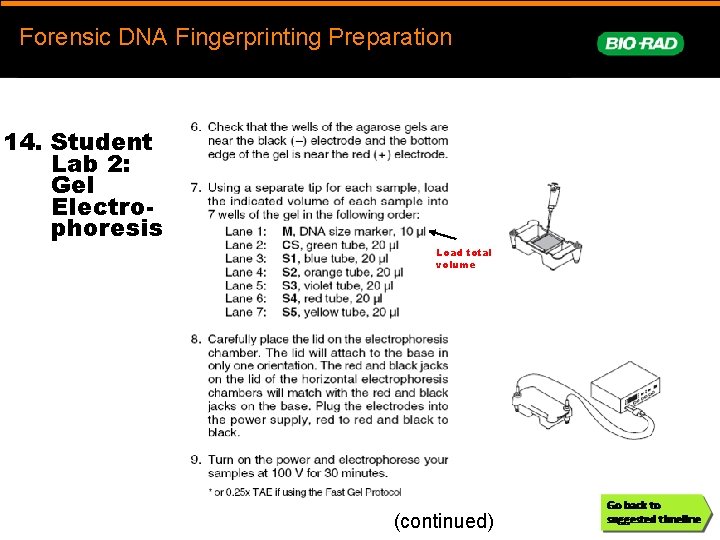 Forensic. DNAFingerprinting Forensic DNA Fingerprinting Preparation prep 14. Student Lab 2: Gel Electrophoresis Load