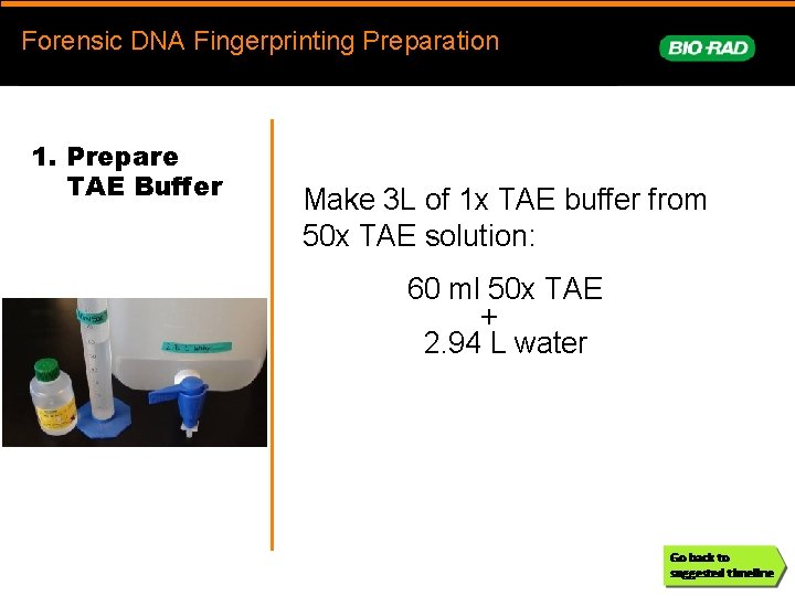 Forensic DNA Fingerprinting Preparation prep 1. Prepare TAE Buffer Make 3 L of 1