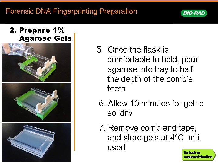 Forensic. DNAFingerprinting Forensic DNA Fingerprinting Preparation prep 2. Prepare 1% Agarose Gels 5. Once