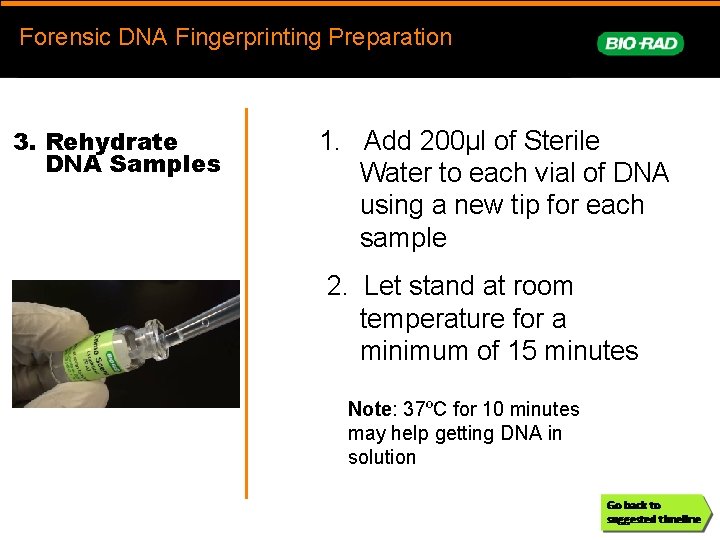 Forensic. DNAFingerprinting Forensic DNA Fingerprinting Preparation prep 3. Rehydrate DNA Samples 1. Add 200µl