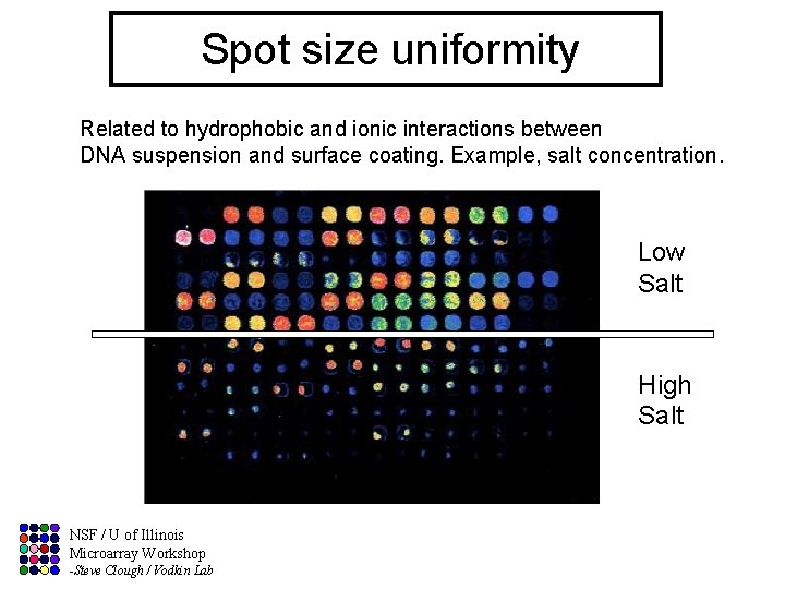 Spot size uniformity Related to hydrophobic and ionic interactions between DNA suspension and surface