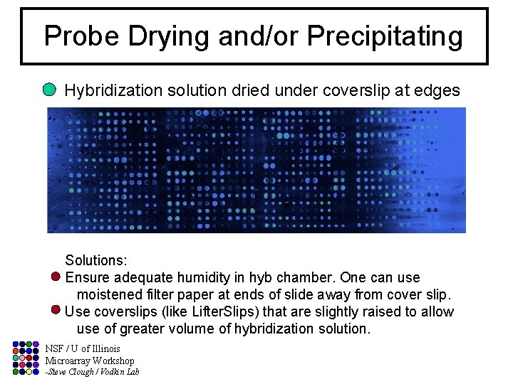 Probe Drying and/or Precipitating Hybridization solution dried under coverslip at edges Solutions: Ensure adequate