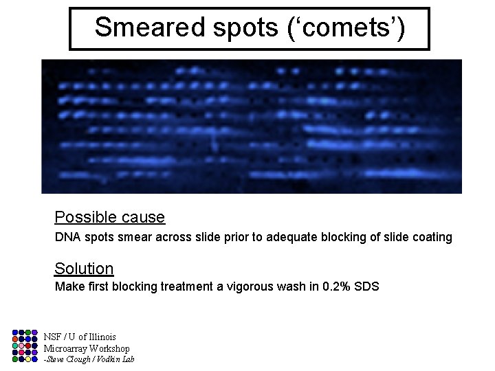 Smeared spots (‘comets’) Possible cause DNA spots smear across slide prior to adequate blocking