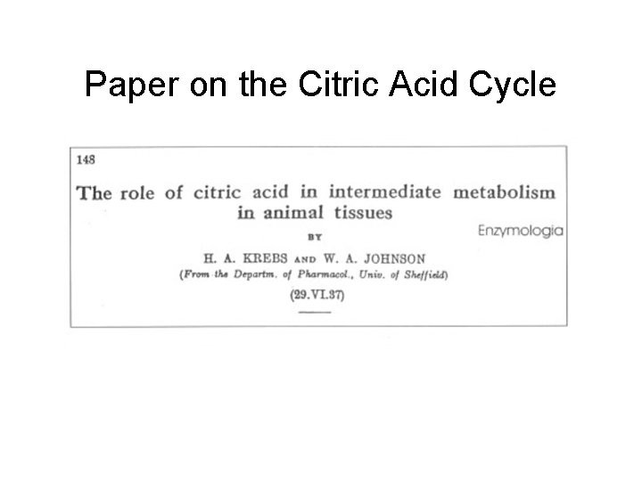 Paper on the Citric Acid Cycle Paper on the Citric Acid Cycle