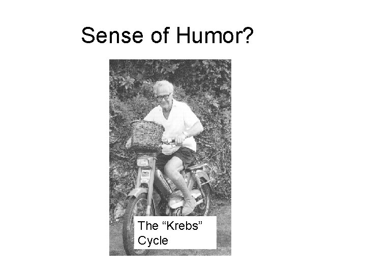 Sense of Humor? The “Krebs” Cycle 