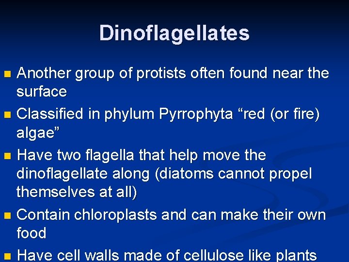 Dinoflagellates Another group of protists often found near the surface n Classified in phylum
