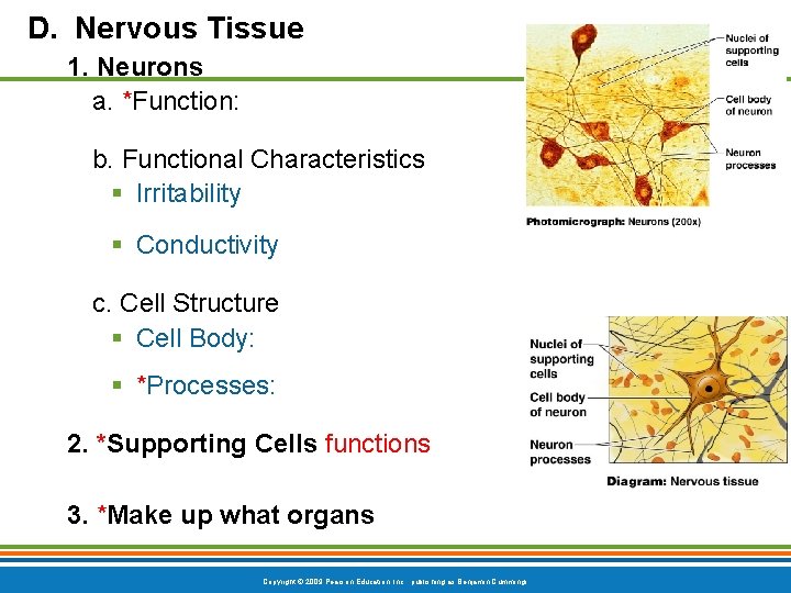 D. Nervous Tissue 1. Neurons a. *Function: b. Functional Characteristics § Irritability § Conductivity