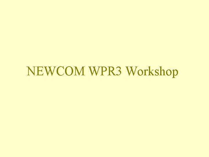 NEWCOM WPR 3 Workshop 