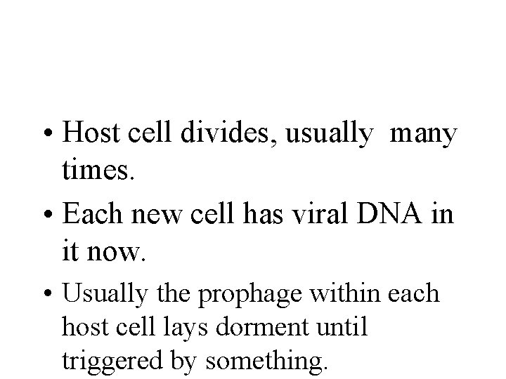  • Host cell divides, usually many times. • Each new cell has viral