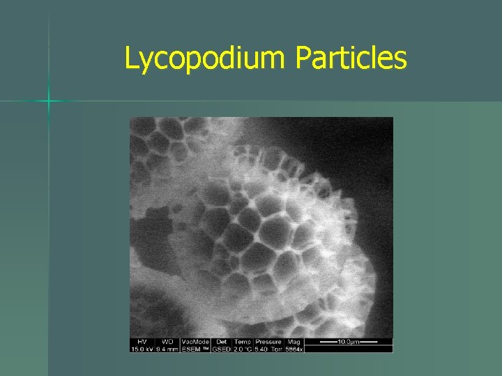 Lycopodium Particles 