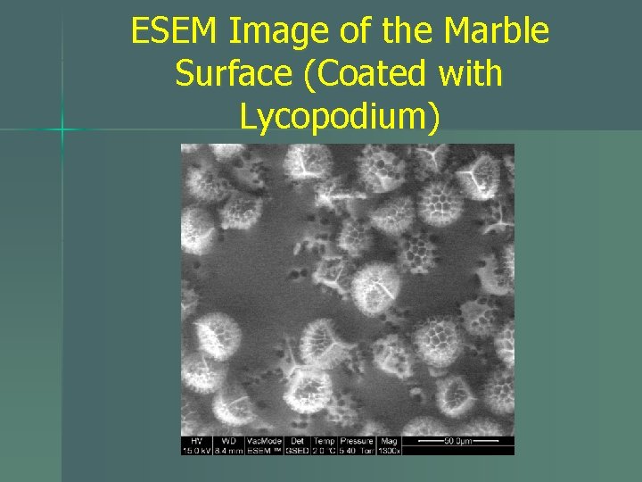 ESEM Image of the Marble Surface (Coated with Lycopodium) 