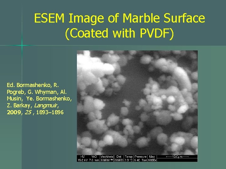 ESEM Image of Marble Surface (Coated with PVDF) Ed. Bormashenko, R. Pogreb, G. Whyman,