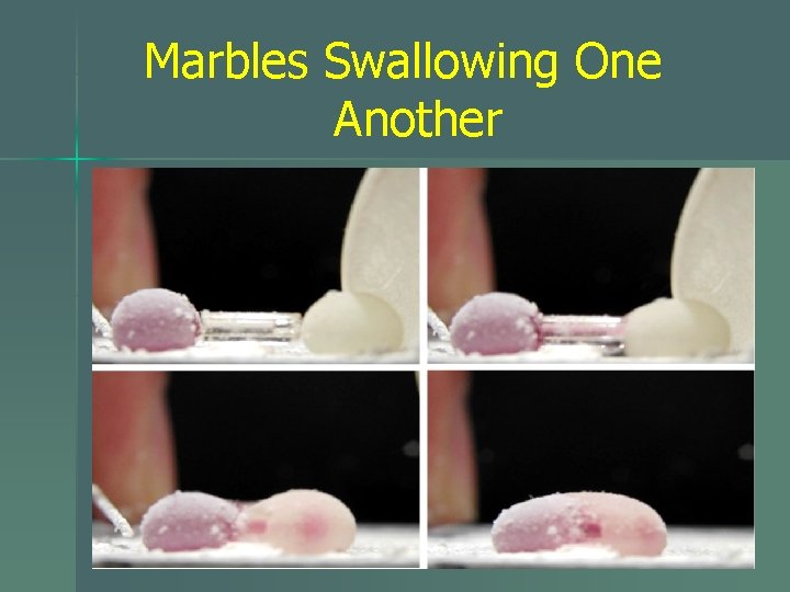 Marbles Swallowing One Another 