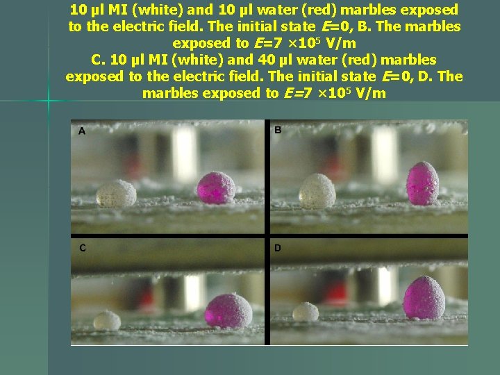 10 µl MI (white) and 10 µl water (red) marbles exposed to the electric