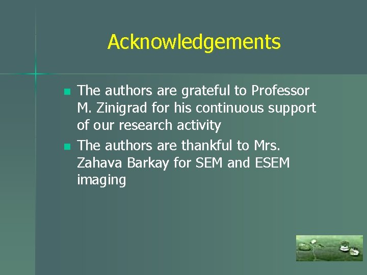 Acknowledgements n n The authors are grateful to Professor M. Zinigrad for his continuous