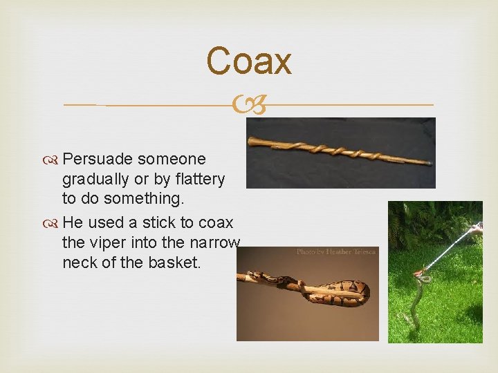 Coax Persuade someone gradually or by flattery to do something. He used a stick